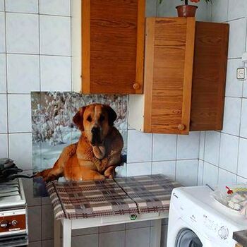 Продажа квартир - Харьков,  Библика (Второй Пятилетки) ул.  2