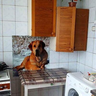 Продажа 	 Харків,  Біблика (Другої П'ятирічки) вул.   2