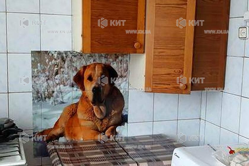 Продаж квартири Харків, ХТЗ, Рогань, 51м²