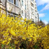 Продаж квартири Харків, Салтівка, 606 мрн., 31м²