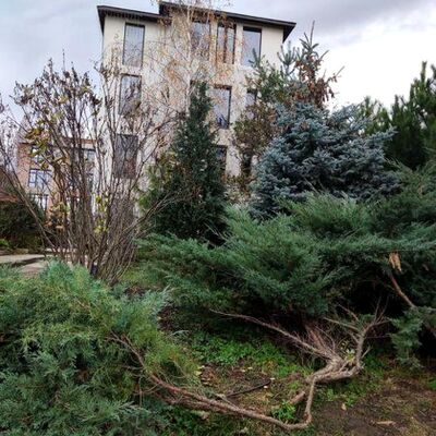 Продажа 	 Харьков,  Березовский въезд   11