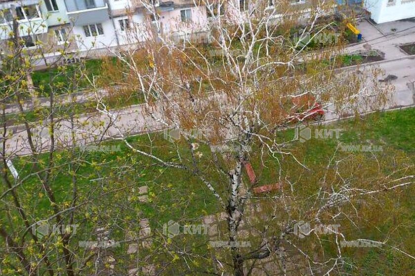 Продажа квартиры Харьков, Павлово Поле, 31м²