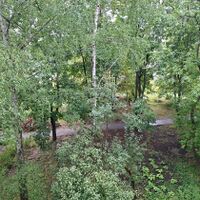 Продажа квартиры Харьков, Салтовка, 535 мрн., 55м²