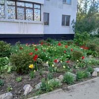 Продаж квартири Харків, Нові Дома, 54.7м²