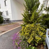 Продажа квартиры Харьков, Спортивная, Гагарина, Защитников, 110м²
