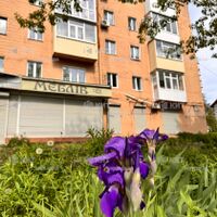 Продажа квартиры Харьков, Алексеевка, 44м²