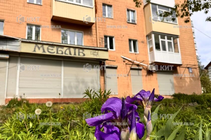 Продажа квартиры Харьков, Алексеевка, 44м²