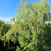 Продажа квартиры Харьков, Новые дома, 65м²