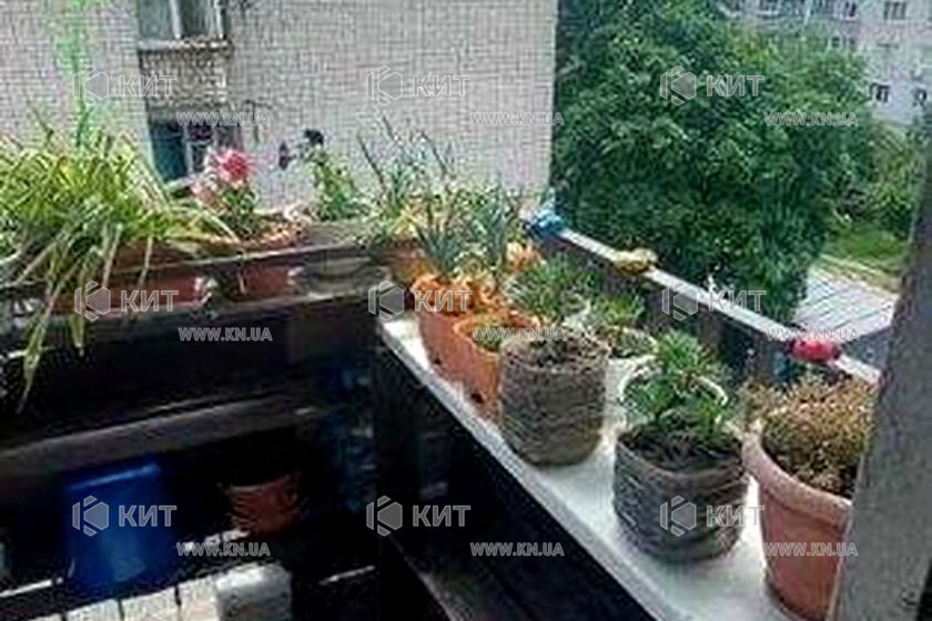 Продаж квартири Харків, Одеська, Основа, 20м²