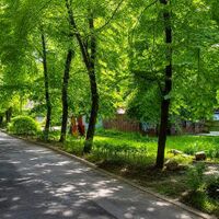 Продаж квартири Харків, Центр, 55м²