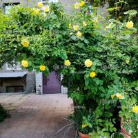 Продажа квартиры Харьков, Научная, 80м²