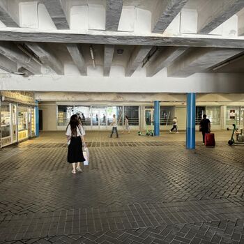 Аренда магазинов - Киев,  Елены Телиги ул.