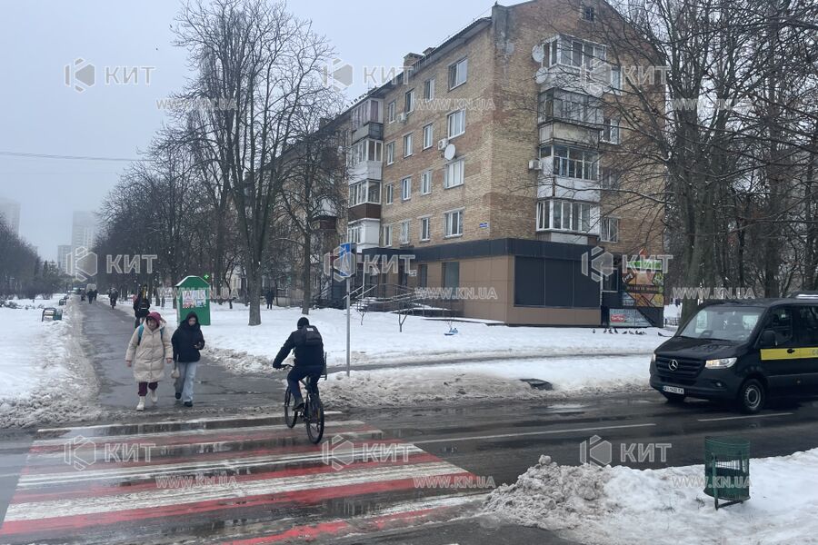 Aренда магазина Бровары, Все, 61.7м²