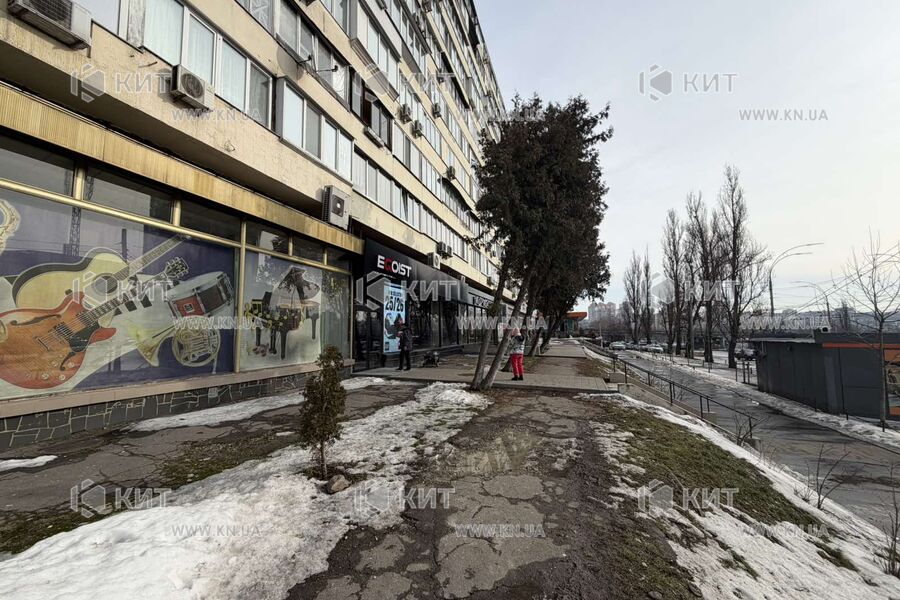 Оренда магазину Київ, Центр, 369.5м²
