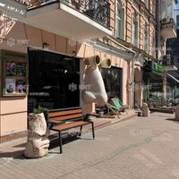 Оренда магазину Київ, Центр, 228м²