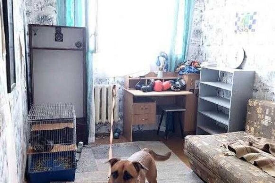 Продажа квартиры Харьков, Гагарина, 62м²