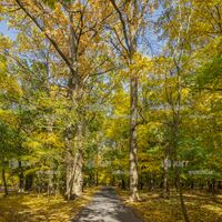 Продажа участка Харьков, Лесопарк (Белгородское шоссе), 10сот.