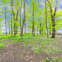 Продаж ділянки Харків, Лісопарк (Білгородське шосе), 15сот.