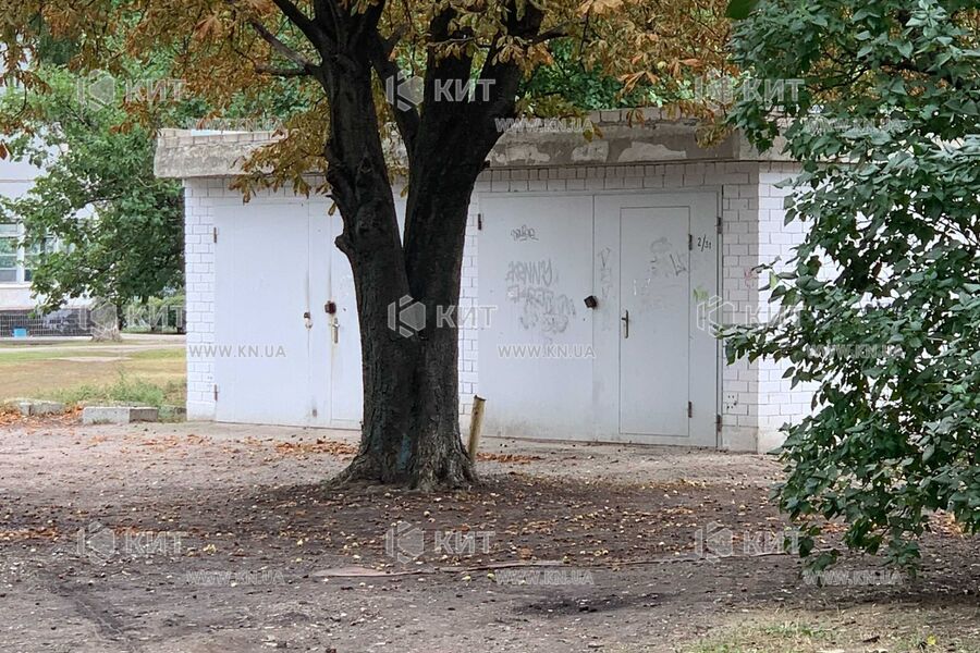Продажа квартиры Харьков, Салтовка, 604 мрн., 100м²