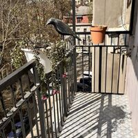Продажа квартиры Харьков, Центр, 70м²