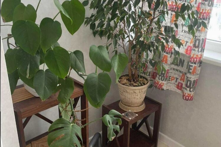 Продаж квартири Харків, Олексіївка, 53м²