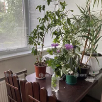 Продажа квартиры Харьков, Холодная гора, 76м²