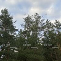 Продажа дома Харьков, Жихарь, 146м²