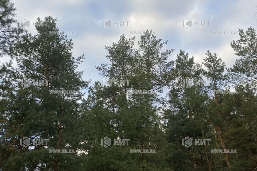 Продажа дома Харьков, Жихарь, 146м²