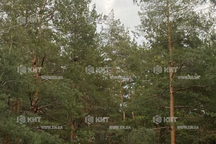 Продажа дома Харьков, Жихарь, 146м²
