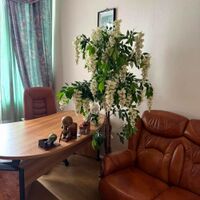 Продаж квартири Харків, Центр, 120м²