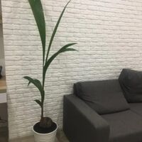 Продаж квартири Харків, Гагаріна, Спортивна, Захисників, 47м²