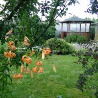 Продаж будинку Покотилівка, Покотилівка, 190м²