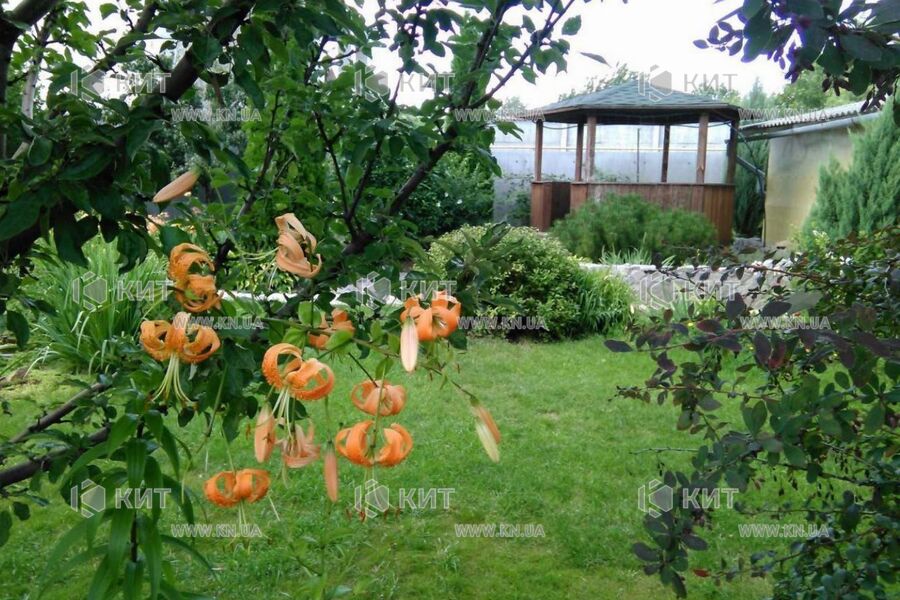 Продаж будинку Покотилівка, Покотилівка, 190м²