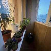 Продаж квартири Харків, Салтівка, 608 мрн., 65м²