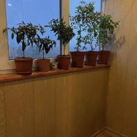 Продаж квартири Харків, Салтівка, 608 мрн., 65м²