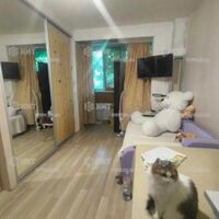 Продажа квартиры Харьков, Салтовка, 535 мрн., 33м²