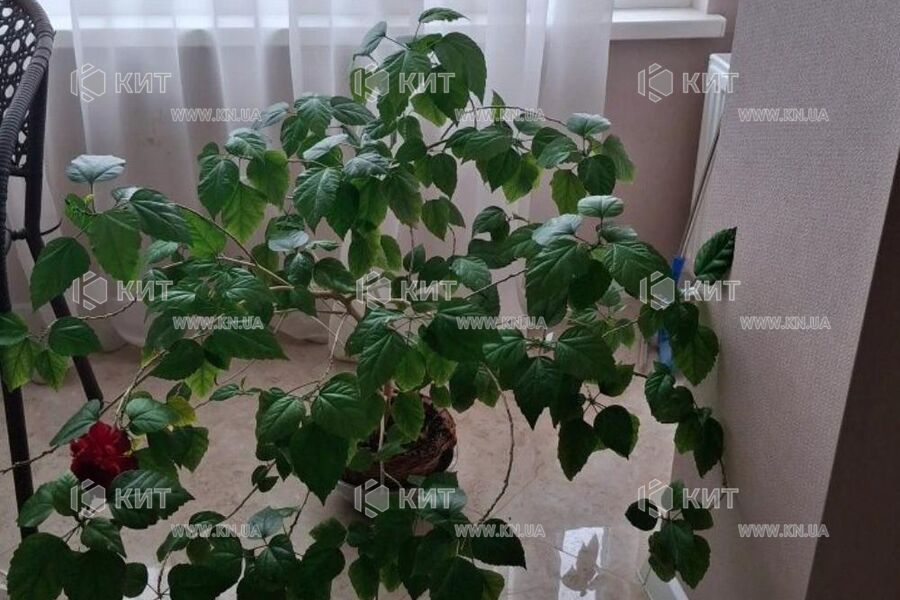 Продажа квартиры Харьков, Алексеевка, 83м²