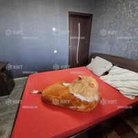 Продаж квартири Харків, Салтівка, 606 мрн., 71м²