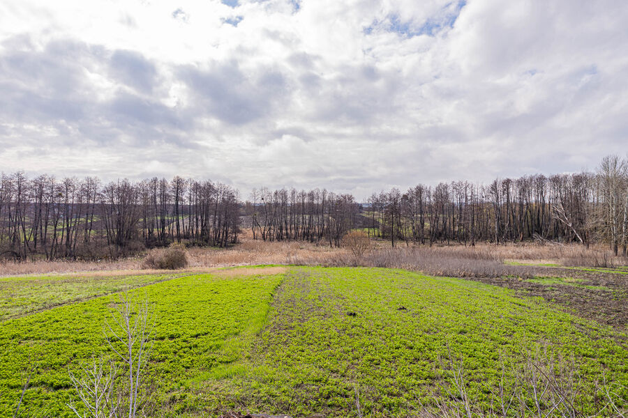 Продажа дома Петропавловка сел., Центр, 100м²