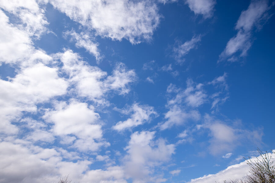 Продажа дома Петропавловка сел., Центр, 100м²