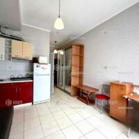 Продажа квартиры Харьков, Киевская, Гидропарк, 18.5м²