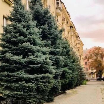 Продажа квартир - Харьков,  Героев Харькова (Московский) пр.  15