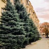 Продажа квартиры Харьков, Центр, 43м²