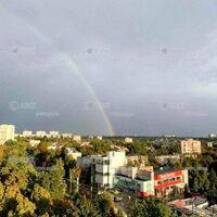 Продаж квартири Харків, Павлове Поле, 81м²