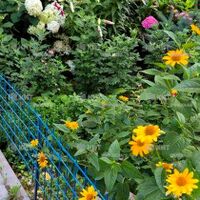 Продаж квартири Харків, Спорт.Гагар.Повст., 28м²