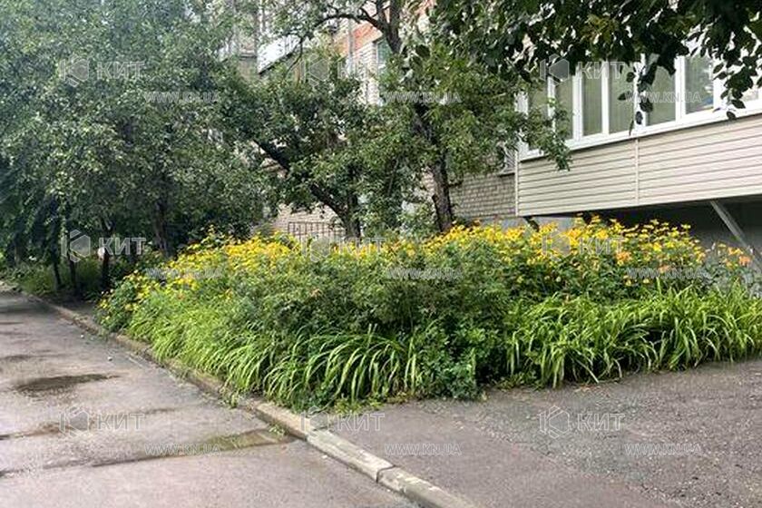 Продаж квартири Харків, Одеська, Основа, 32м²