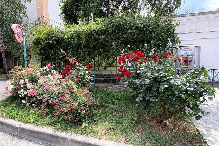 Продаж квартири Харків, ЮЖД, Центр. ринок, 72м²