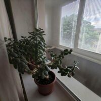 Продажа квартиры Харьков, Новые дома, 44м²