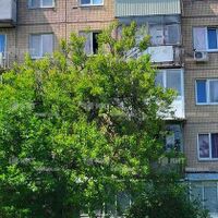 Продажа квартиры Харьков, Новые дома, 46.5м²
