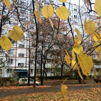 Продажа квартиры Харьков, Салтовка, 625 мрн., 65м²